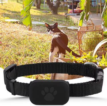 Petopia™ Advanced GPS Tracking Collar